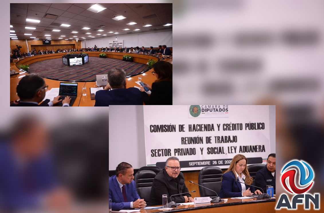 Pide Pérez Behr diferenciar mercancía usada en reforma aduanera