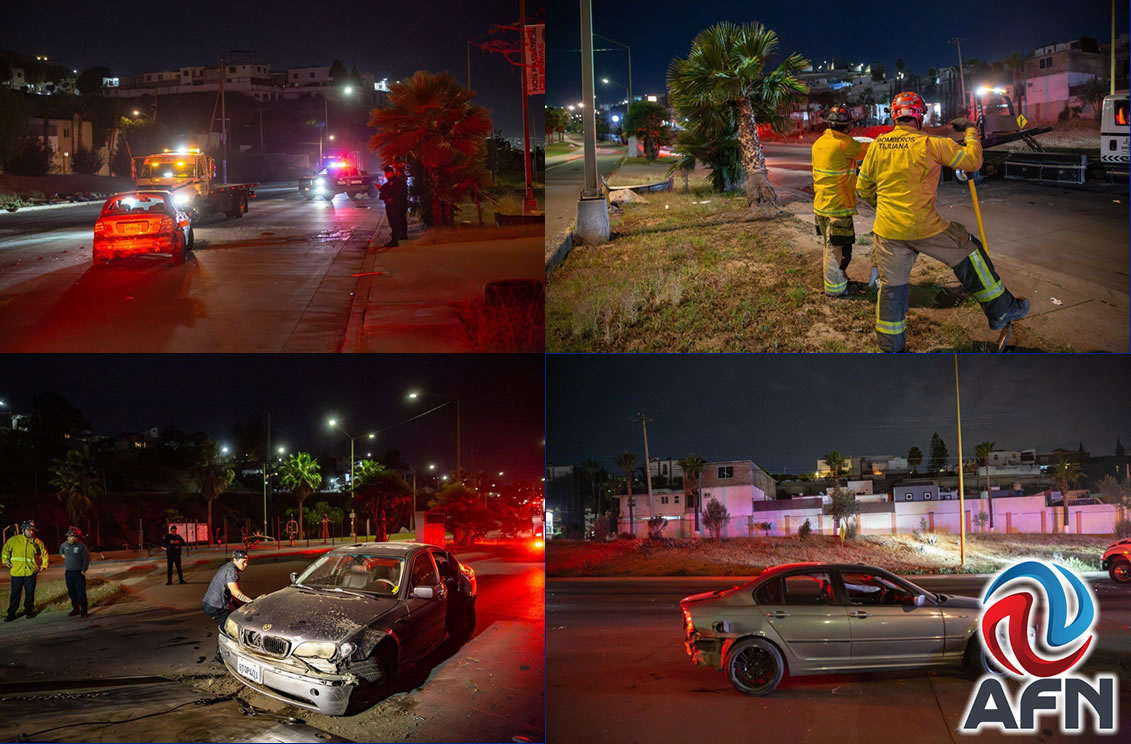 Abandonan un vehículo después de chocar contra una palmera