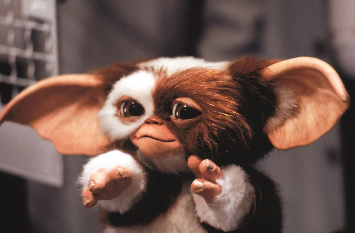 Warner Bros. confirma el regreso de una de las franquicias más emblemáticas del cine: Gremlins