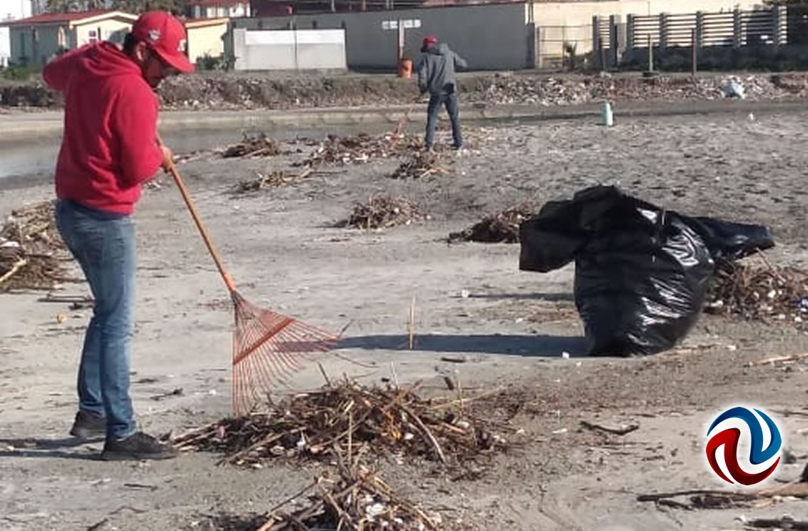 Personal de Zofemat hizo limpieza en Playas