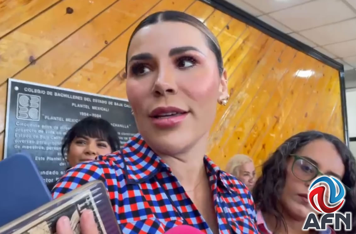 Caída de postes afectó suministro de electricidad, señala Marina del Pilar
