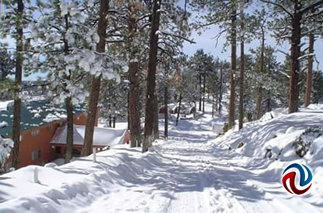 Recomendaciones para visitar San Pedro Mártir