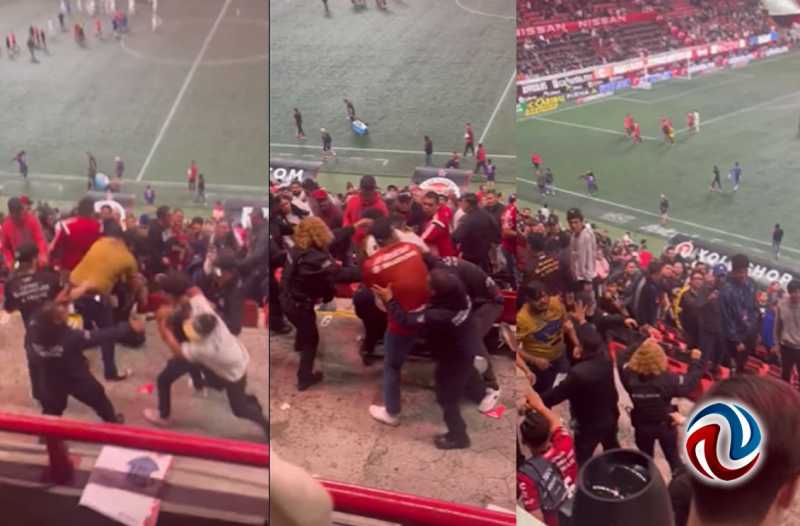 Pelean aficionados de Xolos y Pumas en el estadio Caliente